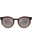 3710 Sunglasses