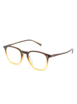 FINLEY 1993 Optical Frame