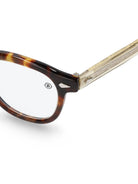 TVR 504 Eyeglasses - 